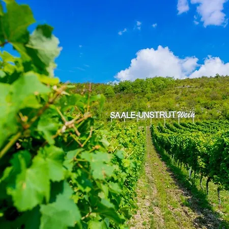 Weinquartier Gruene *