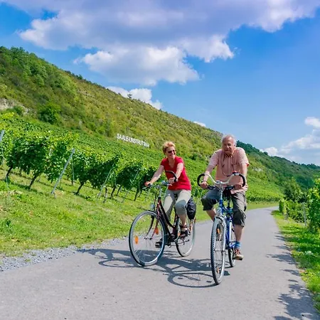 Apartman Weinquartier Gruene 70 Qm Kamin Kueche Parkplatz Turmzimmer Naumburg