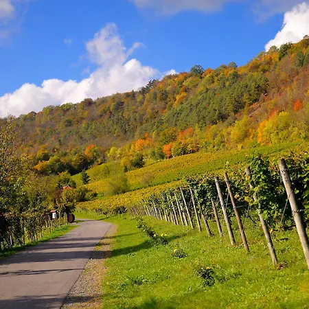 Apartman Weinquartier Gruene 70 Qm Kamin Kueche Parkplatz Turmzimmer Naumburg