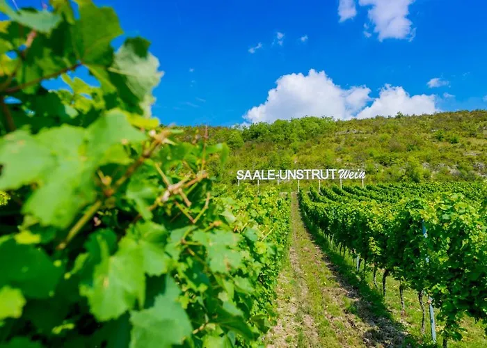 Weinquartier Gruene 70 Qm Kamin Kueche Parkplatz Turmzimmer *