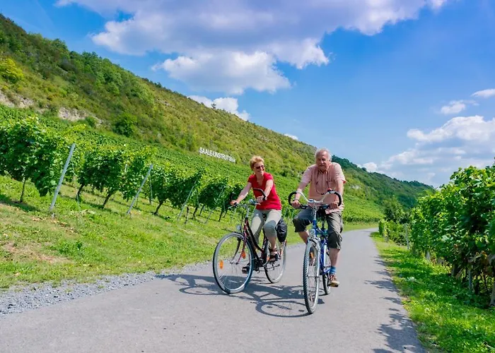 Apartman Weinquartier Gruene 70 Qm Kamin Kueche Parkplatz Turmzimmer Naumburg