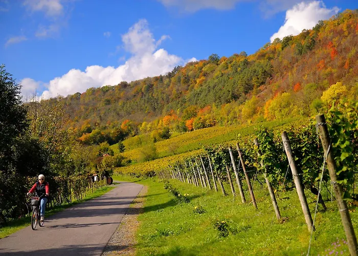 Apartman Weinquartier Gruene 70 Qm Kamin Kueche Parkplatz Turmzimmer Naumburg